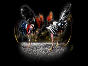 Bật Mí Cách Chơi Đá Gà Sabong Tại Cado888 Từ Cao Thủ Chuyên Nghiệp