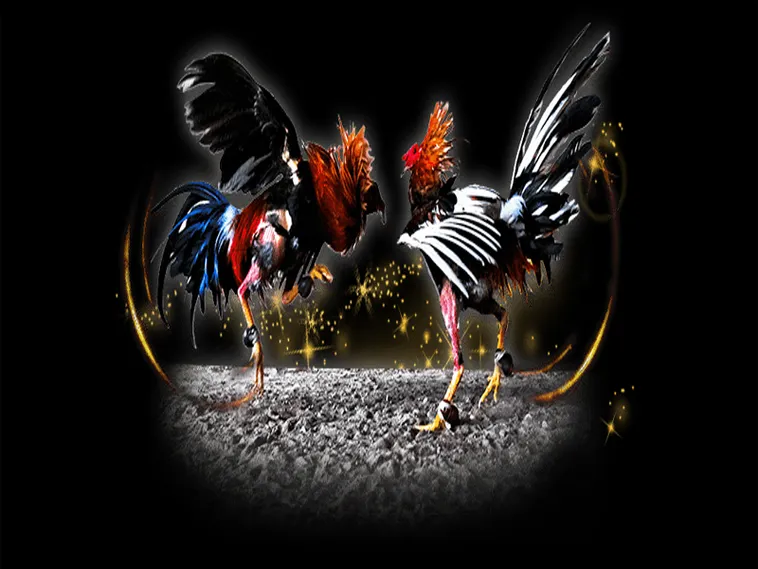 Bật Mí Cách Chơi Đá Gà Sabong Tại Cado888 Từ Cao Thủ Chuyên Nghiệp 1 Bật Mí Cách Chơi Đá Gà Sabong Tại Cado888 Từ Cao Thủ Chuyên Nghiệp